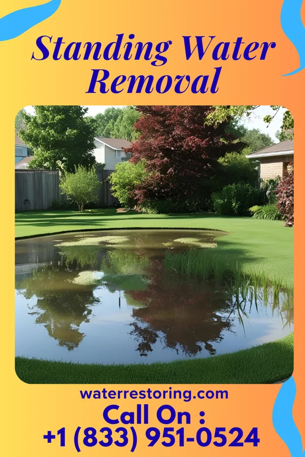 Standing Water Removal in Union Springs, AL